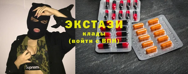 сатива Каменка