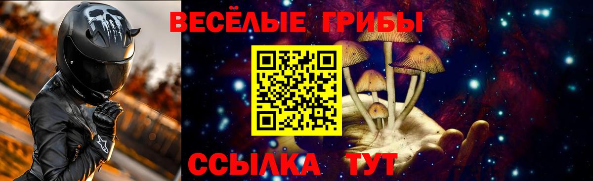 Галлюциногенные грибы мицелий  Вход с VPN  Каменка 